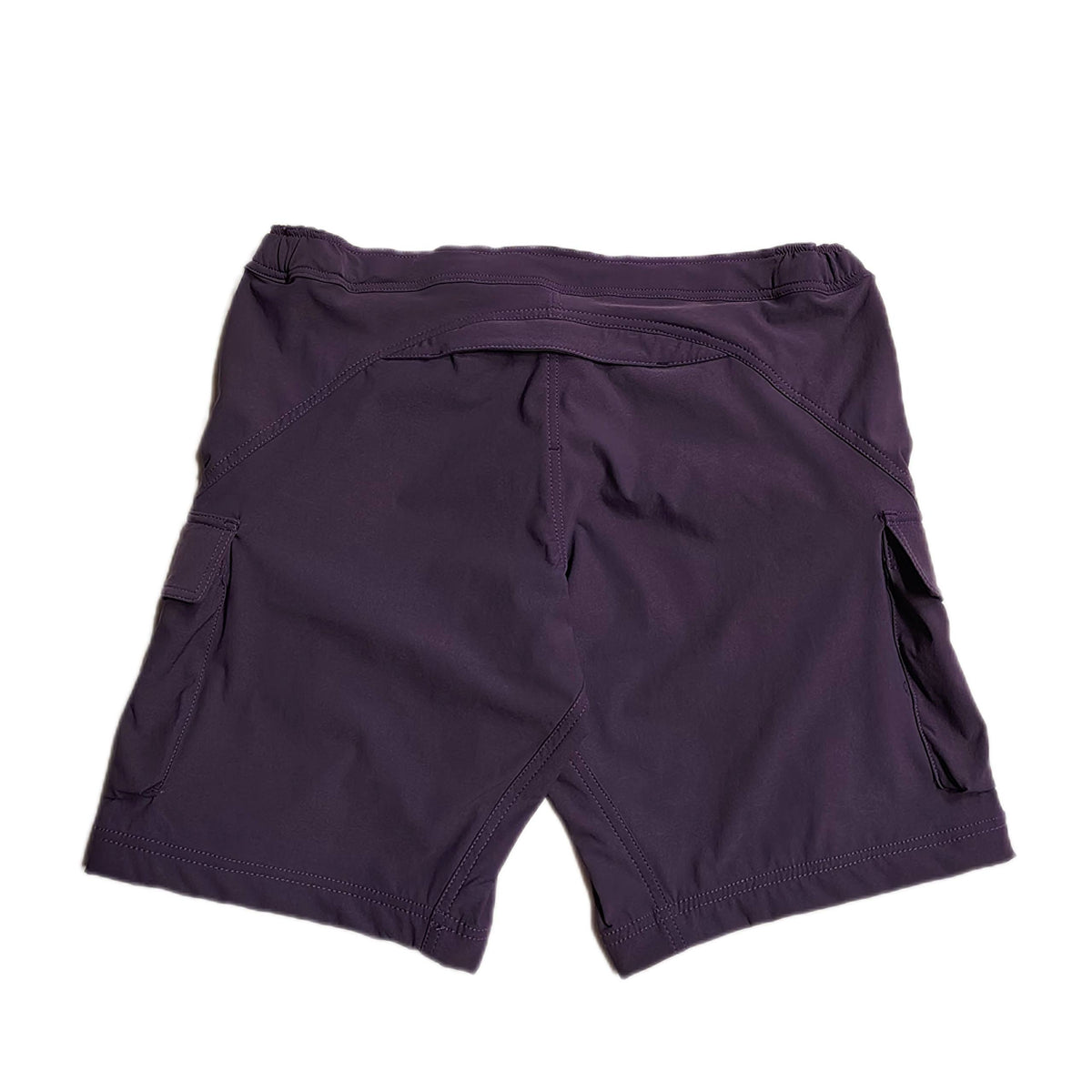 Men's Hauler 10 Shorts Aubergine